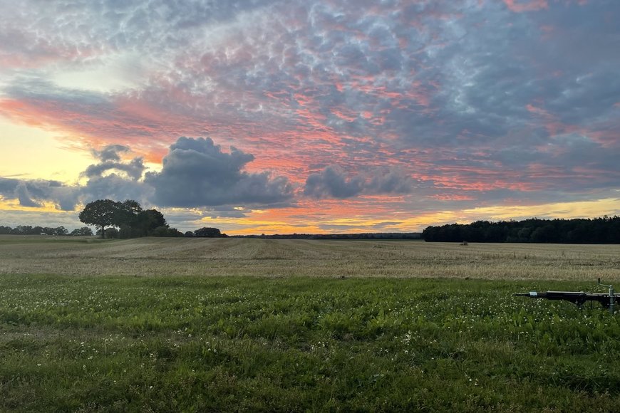Sonnenuntergang Wolken - Copyright: M.P.