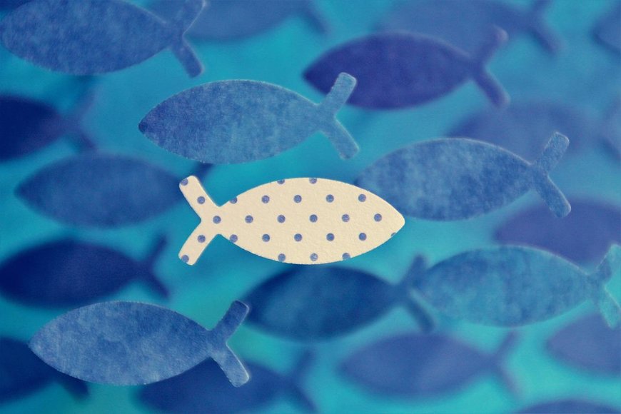 Fisch Kommunion Konfirmation - Copyright: Michaela (Pixabay)