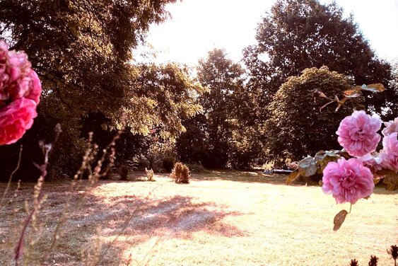 Copyright: Maria Stobbe