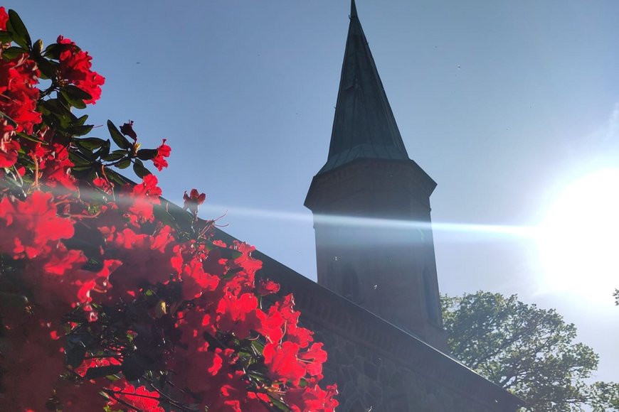 St. Marienkirche Basthorst - Copyright: Maria Stobbe