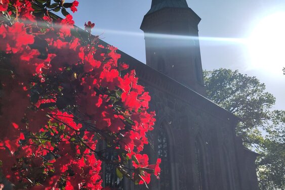 St. Marienkirche Basthorst - Copyright: Maria Stobbe
