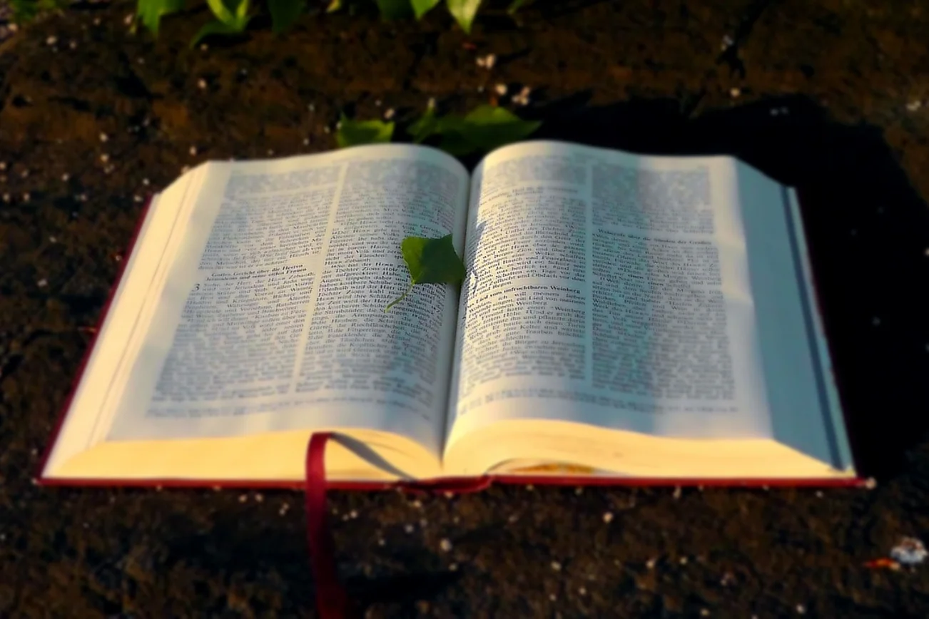 offenes Buch