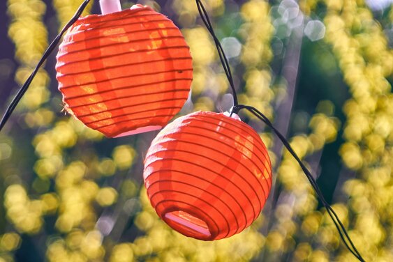 Lampion - Copyright: Markus Distelrath (Pixabay)