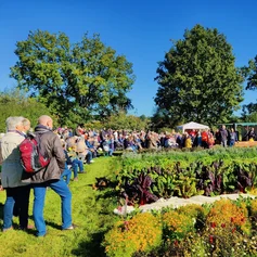 Erntedankfest Wohltorf Kiwi